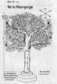 Thumbnail for version as of 13:08, 22 November 2020
